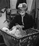 photo du film 1953 : Jean-Michel MOULIN fils du réalisateur