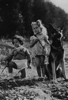1946 : image agrandissable