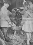 photo du film 1948