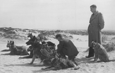photo du film 1950